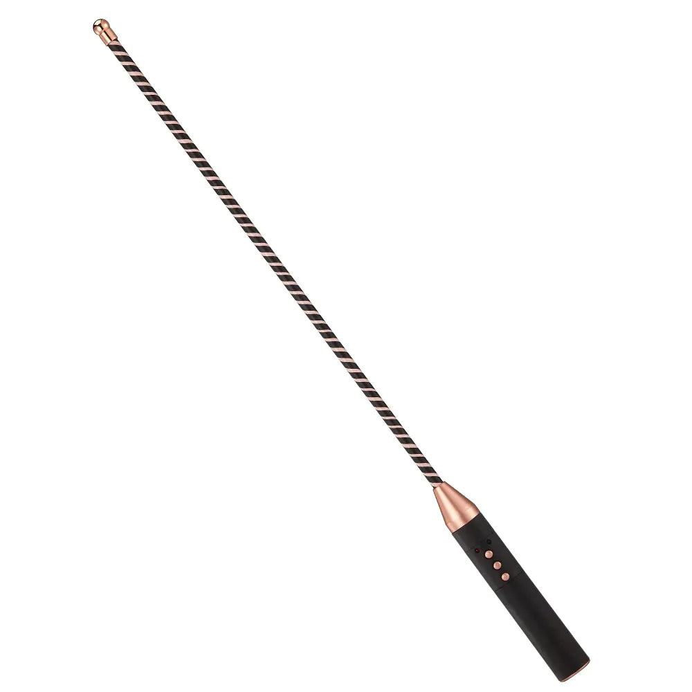 Electric Shock Bdsm Training Set Spanking Paddle Horse Whip